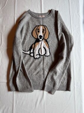 Philosophy 100% Cashmere Dog Sweater Gray Size M